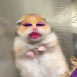 Meet your Posher, Bảo